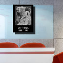 Suche nach lustiger koala poster Koalgebär