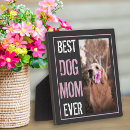 Suche nach hunde fotoplatten Vom hund