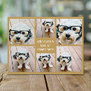 Suche nach fotocollage postkarten Fotografie