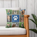 Suche nach doge doge doge kissen Pfotendruck