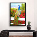 Suche nach peacock kunst Modern