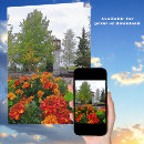 Suche nach alaska karten Blume