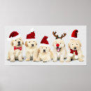 Suche nach tierbild poster Hunde