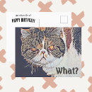 Suche nach ironie karten Sarkastisch