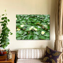 Suche nach lilie poster Lotus