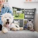 Suche nach westi kissen Dogs
