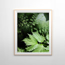 Suche nach magischer wald poster Fantasie