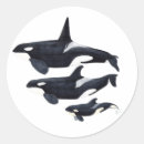 Suche nach orca aufkleber Weiß