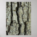 Suche nach tree bark poster Baum