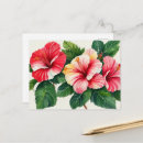 Suche nach hibiskus postkarten Pflanze