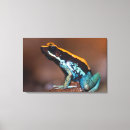 Suche nach costa rica leinwandbilder Zentralamerika