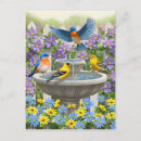 Suche nach wasserbrunnen postkarten Blume