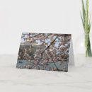 Suche nach washington dc karten Tourist