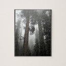 Suche nach fog puzzle Nebel