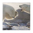 Suche nach kanada fliesen Winter