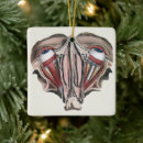 Suche nach biologie ornamente Vintag