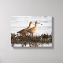 Suche nach wildlife leinwandbilder Braun