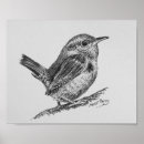Suche nach schwarz weiß vogel poster Grau