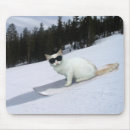 Suche nach katzengeschenke mousepads Katzenwaren