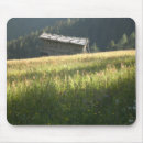 Suche nach wiese mousepads Fotografie