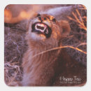 Suche nach glücklicher zahn aufkleber Zähne