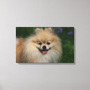 Suche nach sprache leinwandbilder Kopf und schultern