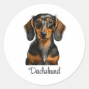 Suche nach dackeln aufkleber Hund