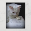 Suche nach lustige jäger postkarten Katzen