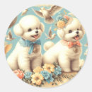 Suche nach bichon aufkleber Welpe