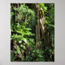 Suche nach philodendron poster Tropisch