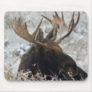 Suche nach moose mousepads Usa