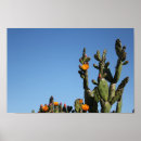 Suche nach birne poster Himmel