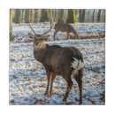 Suche nach mit rotwild fliesen Hirsche
