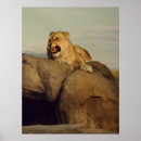 Suche nach löwin poster Natur