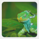 Suche nach fidschi aufkleber Natur