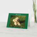 Suche nach cocker spaniel hunde karten Mutter