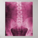 Suche nach spine poster Doctor