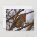 Suche nach glücklicher vogel postkarten Vogelvogel