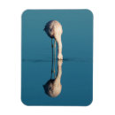 Suche nach atacama magnete Flamingo