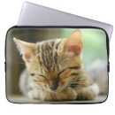 Suche nach miezekatze laptop schutzhüllen Haustiere