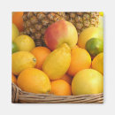 Suche nach tropische frucht magnete Orange