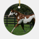 Suche nach malen ornamente Reiter