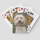Suche nach leinen spielkarten Hund