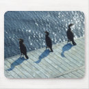 Suche nach kormoran mousepads Vogelvogel
