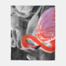 Suche nach flamingo decken Fotografie