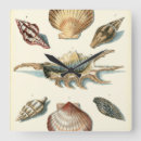 Suche nach ocean life poster Seashell