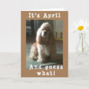 Suche nach cocker spaniel geburtstag karten Tierarzt