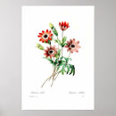 Suche nach anemone poster Illustration
