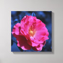 Suche nach rosa rosen leinwandbilder Mother