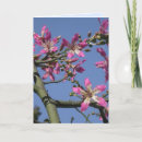 Suche nach exotische blumen karten Foto